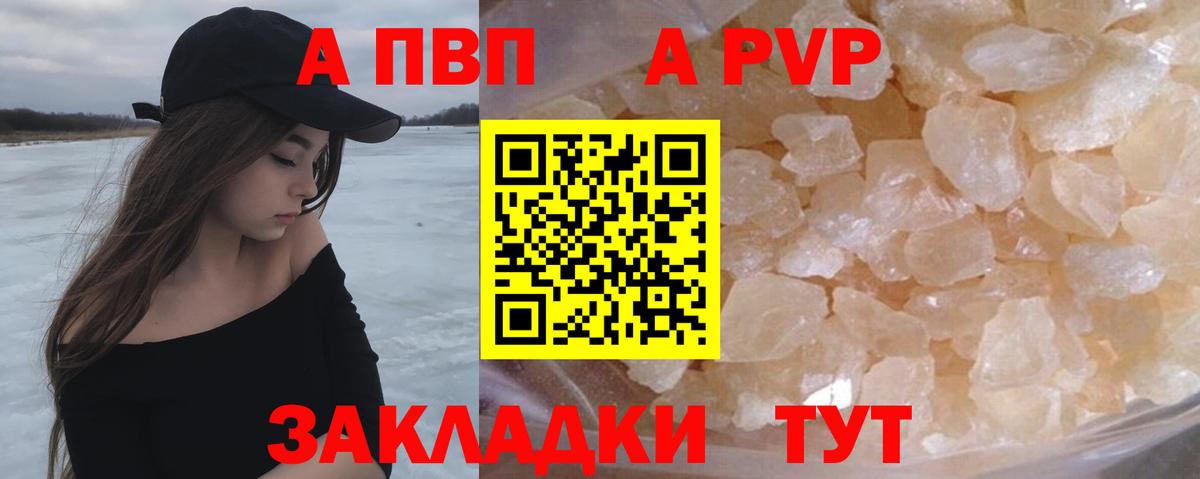 A PVP СК КРИС Белово