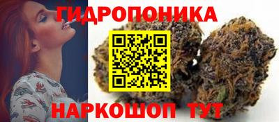 гидра Апрелевка